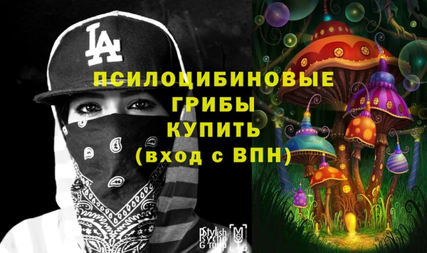 МДПВ Сатка