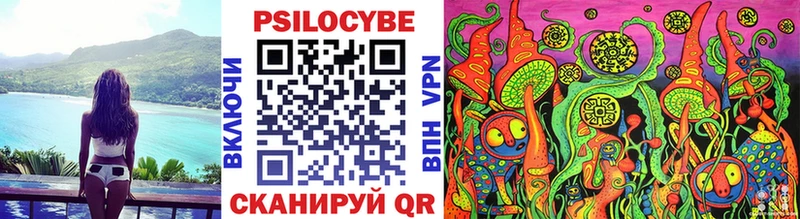 Псилоцибиновые грибы мухоморы  хочу наркоту  Бодайбо 